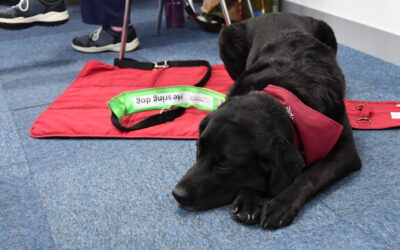 Welcoming Hearing Dogs for Deaf People to Ampetronic
